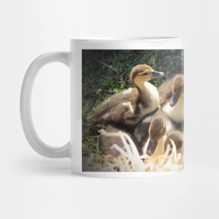 Ducklings Mug